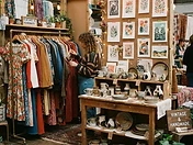 The Curious Snail — Neighborhood Online Shop