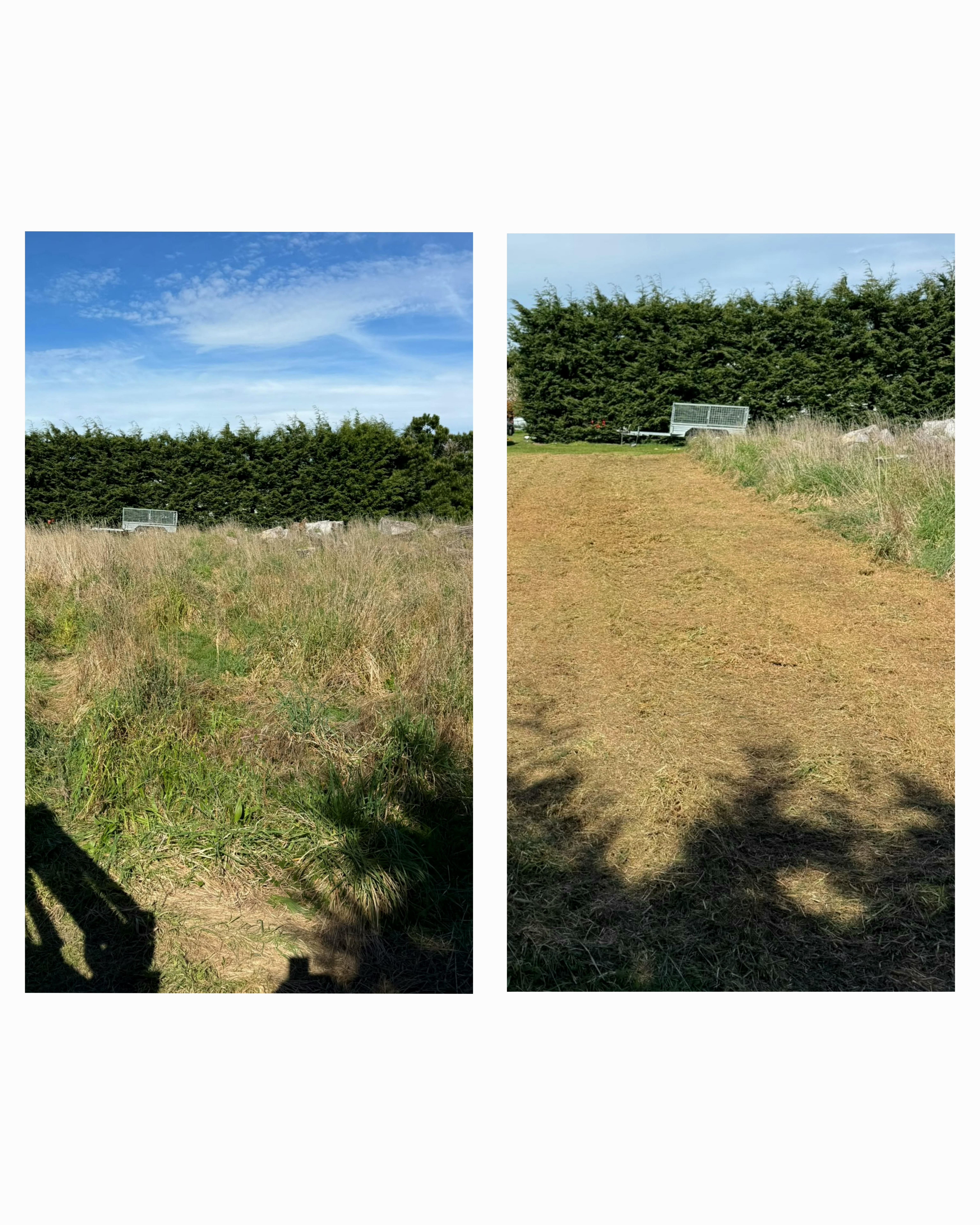 Overgrown Section Clearing — Before & After