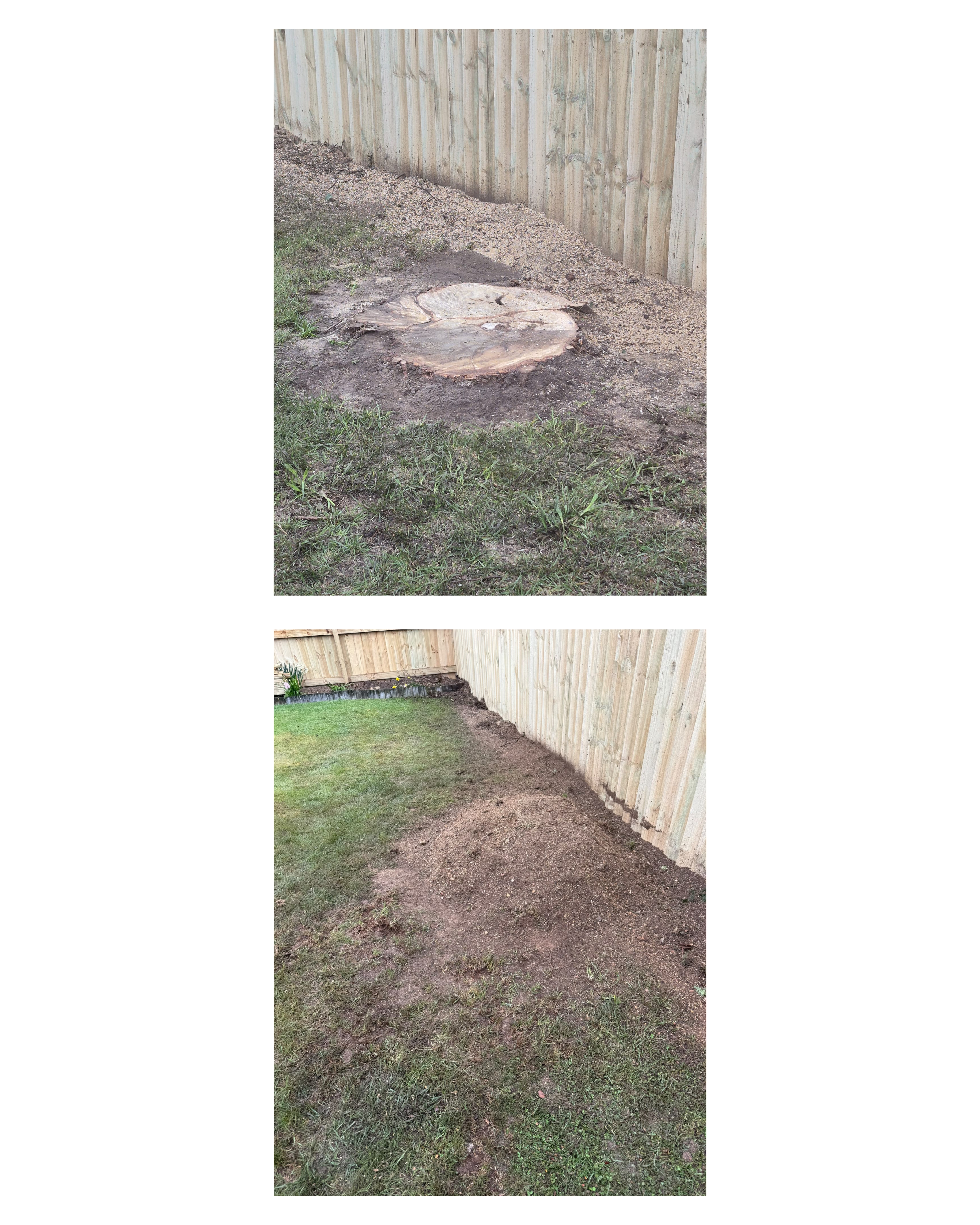 Tree Stump Removal & Grinding — Residential