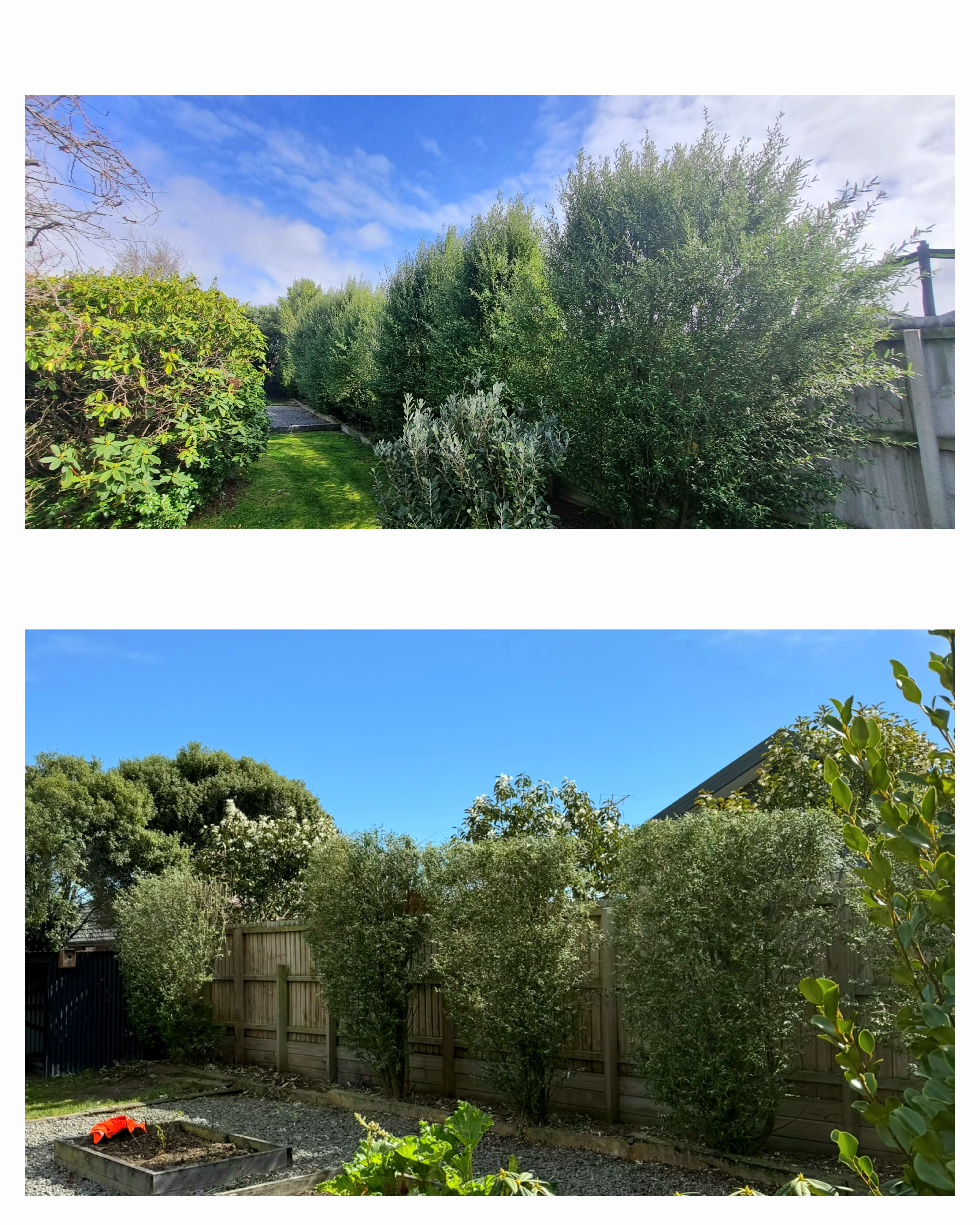 Hedge Planting & Garden Border Finishing