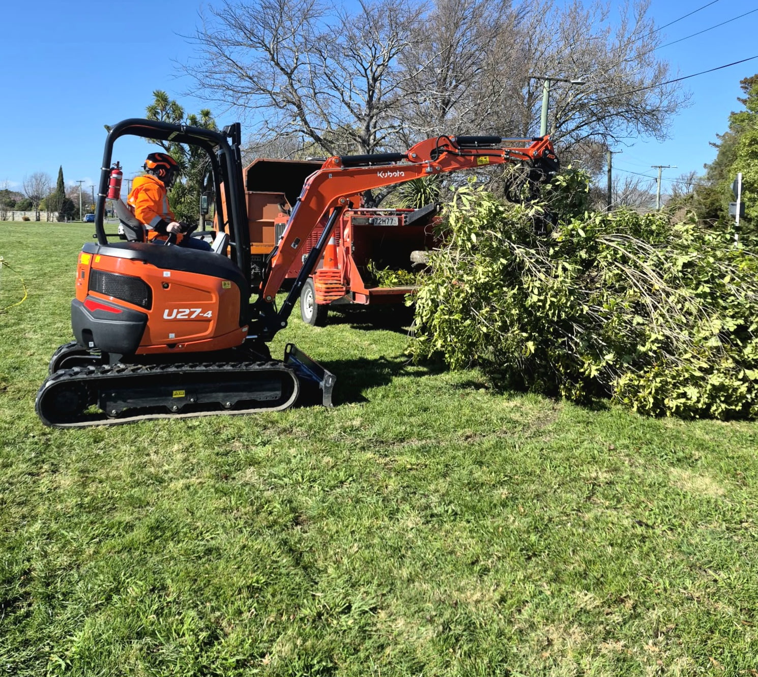 Site & Vegetation Clearance