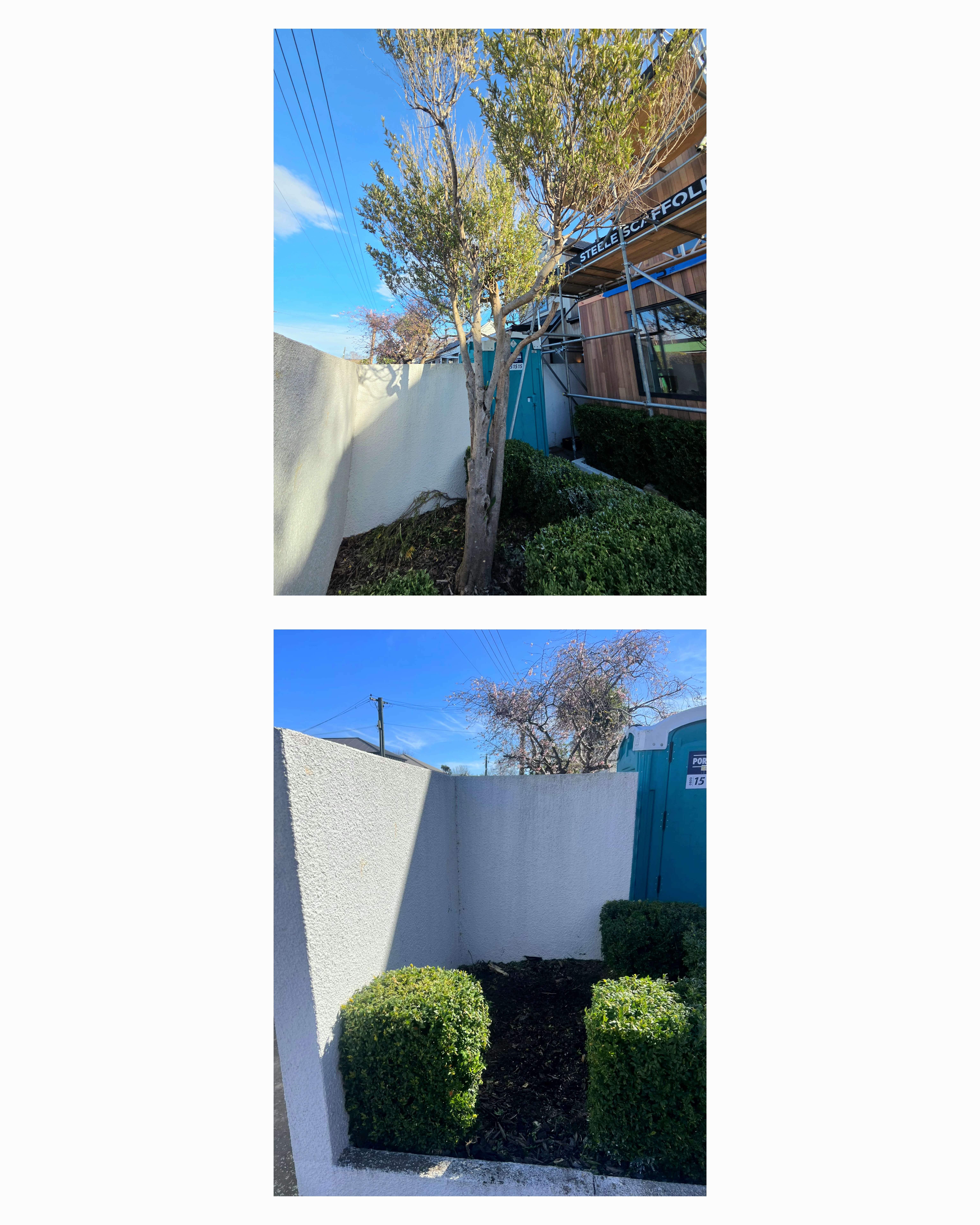 Hard & Soft Landscaping — Garden Site Preparation & Box Hedging