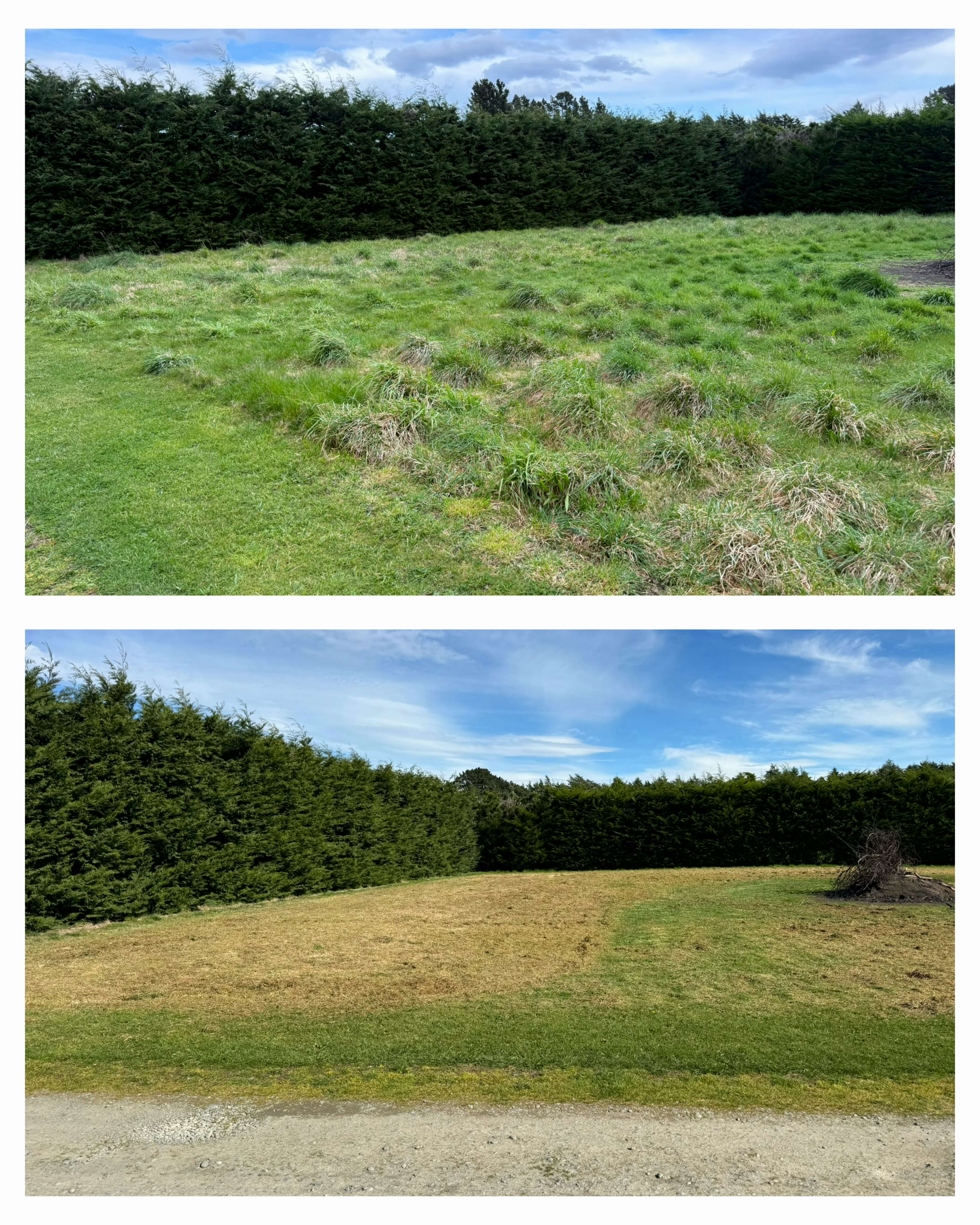 Paddock & Field Mowing — Before & After