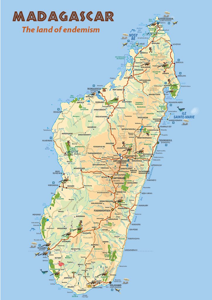 Illustrated map of Madagascar - the land of endemism - showing regions, parks and wildlife