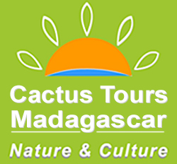 Cactus Tours Madagascar logo