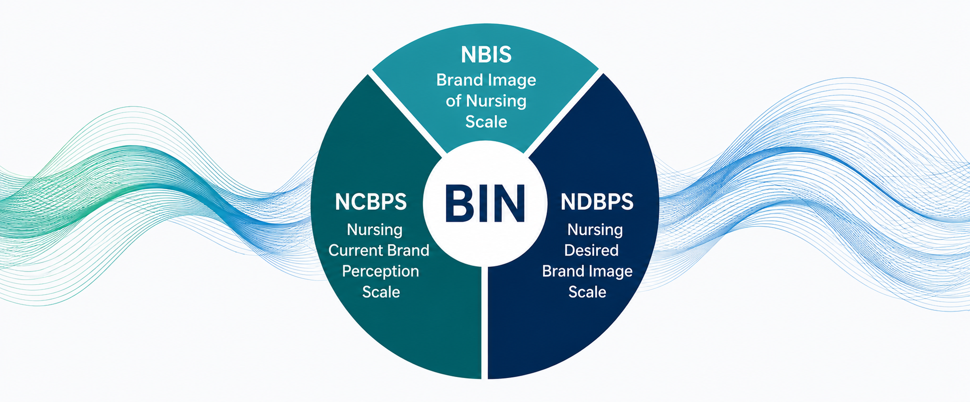 BIN framework donut: NBIS, NCBPS, and NDBPS scales