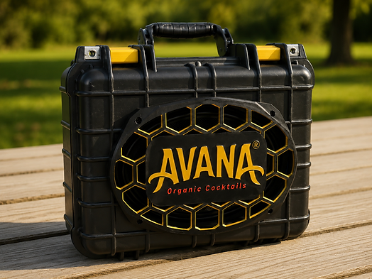 AVANA Rallybox speaker