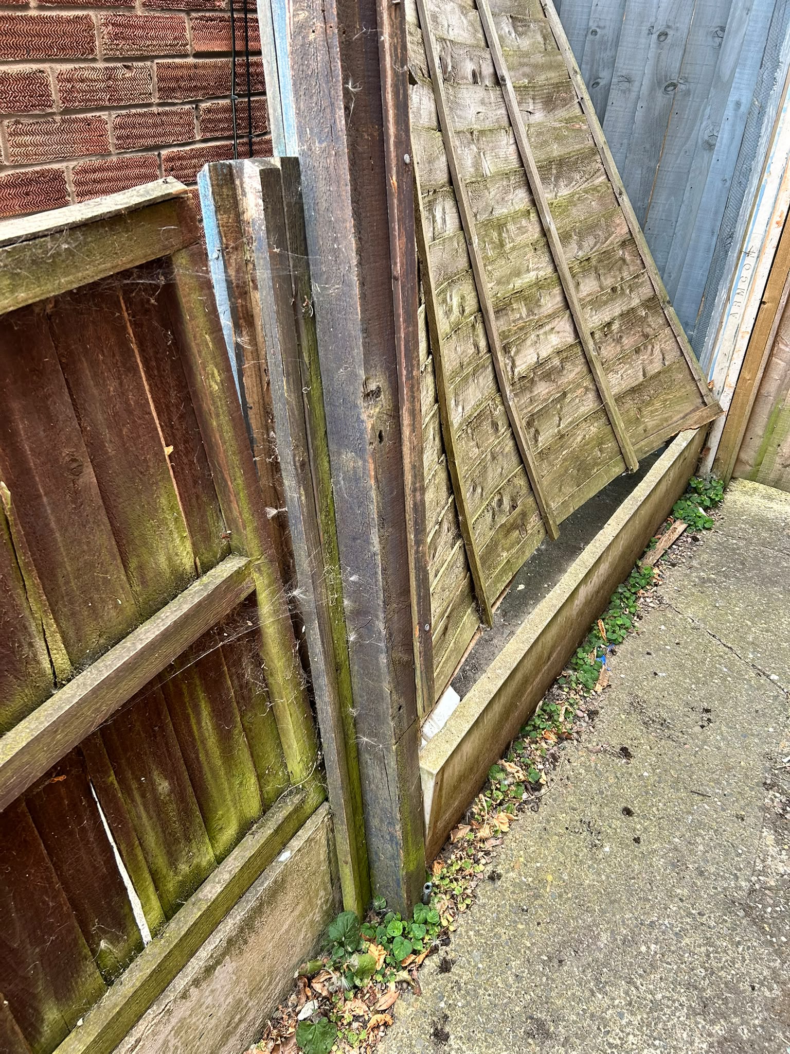 Before: Boundary Fence Renewal in Shropshire — garden before landscaping work by Shropshire Landscaping & Design