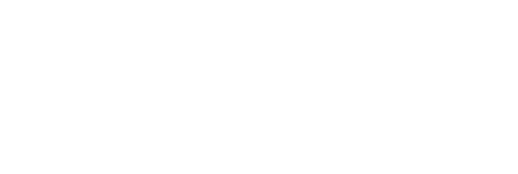 Newton Method