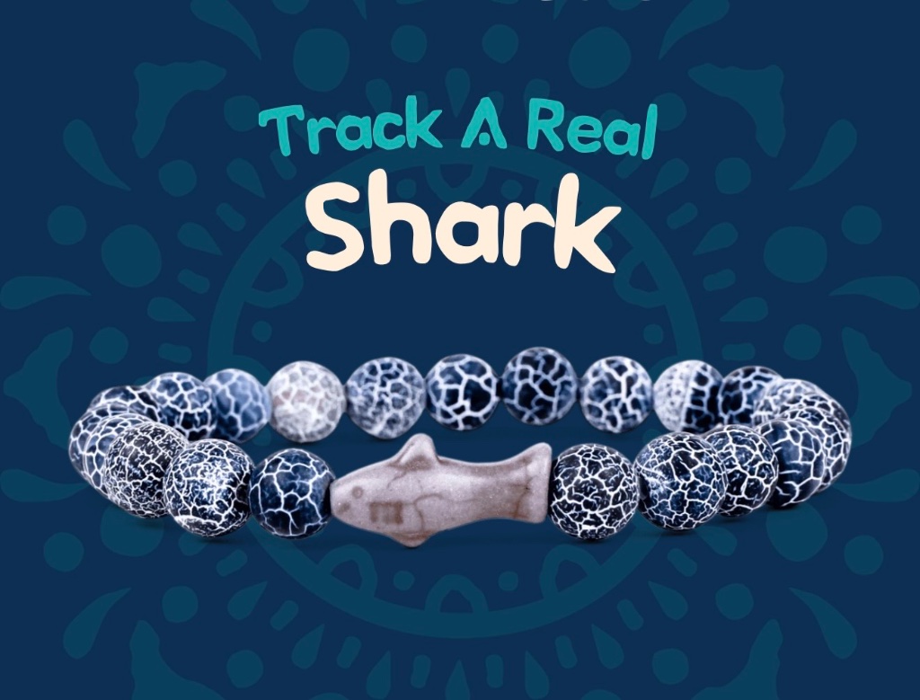 Fahlo The Voyage Shark Tracking Bracelet