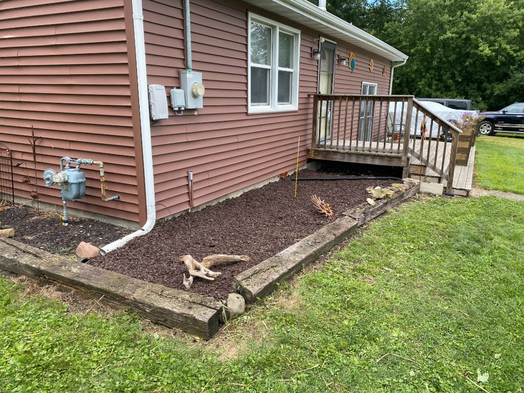 Mowed yard with tree canopy