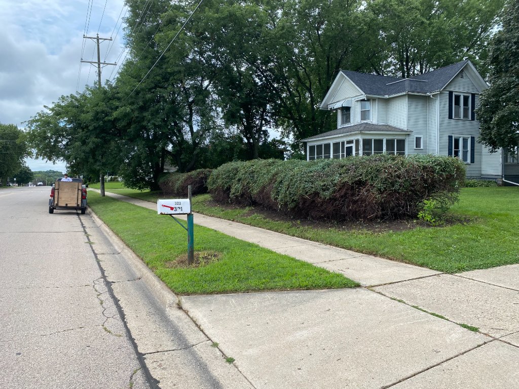 Mowed backyard with striping