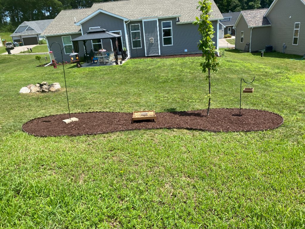 Fresh mulched landscape bed with boulders