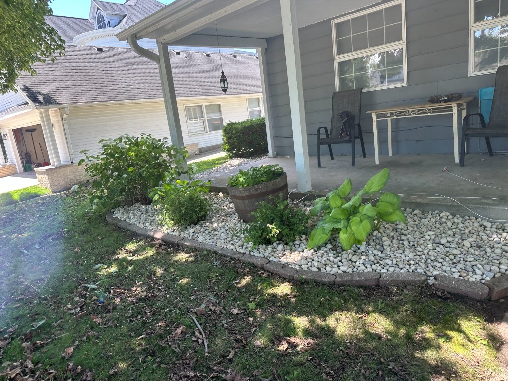 Trimmed ornamental tree in front bed