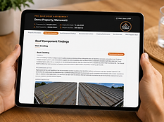 Professional Roof Assessments