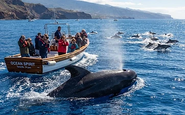 Whale and Dolphin Watching in Tenerife: A Complete Guide