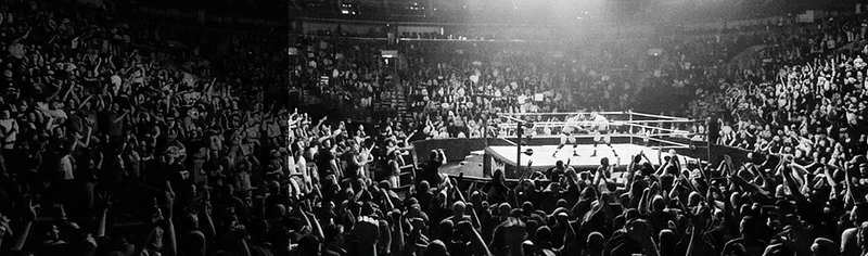 Wrestling arena