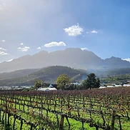 Cape Winelands at golden hour