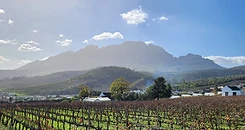 Garden Route experience