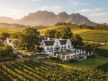 Winelands Experience