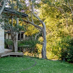 Pezula Nature Retreat 1