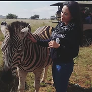 A quiet moment with a zebra