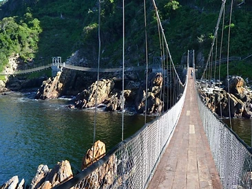 Suspension Bridge