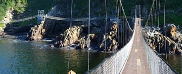 Suspension bridge, Tsitsikamma