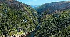 Garden Route experience