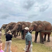 Up close with the giants