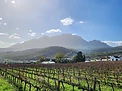Cape Winelands experience