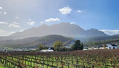Cape Winelands experience