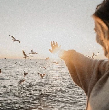 A woman's hand reaching toward birds over a golden sunset ocean