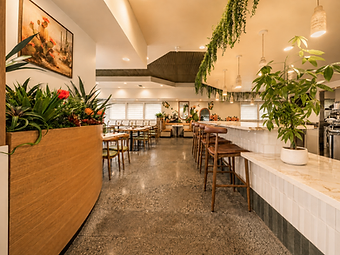 Wide-angle view of the Bandoleros Cafe dining room in Cypress, CA with curved oak partition, hanging greenery, marble bar counter, and pendant lights — hospitality interior design by Studio Fridae
