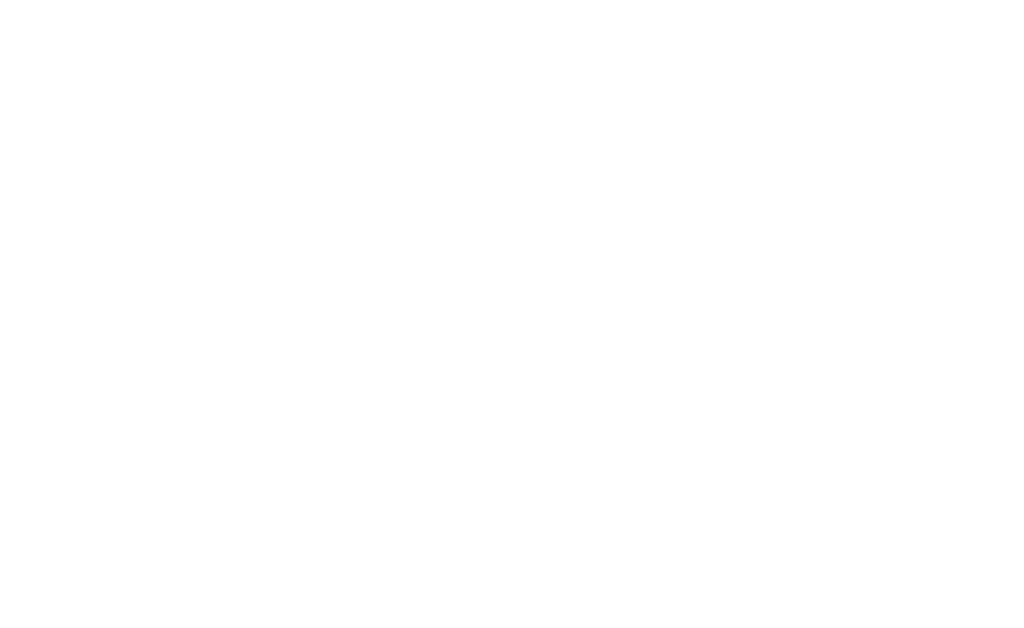 Guardian Allies Collective