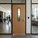 Natural Oak Veneer
