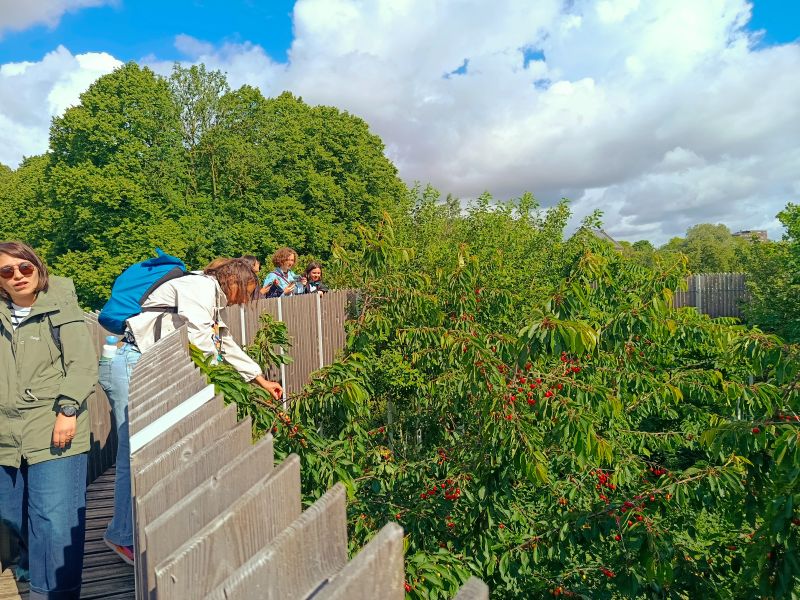 Rijnvliet: Where Public Space Feeds the Soul