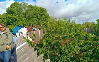 Rijnvliet: Where Public Space Feeds the Soul