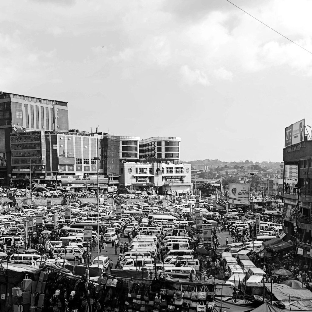Organized Chaos: The Logic of the Living City