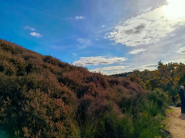 The author stands on a gravel path beside a hill covered in brown heather.