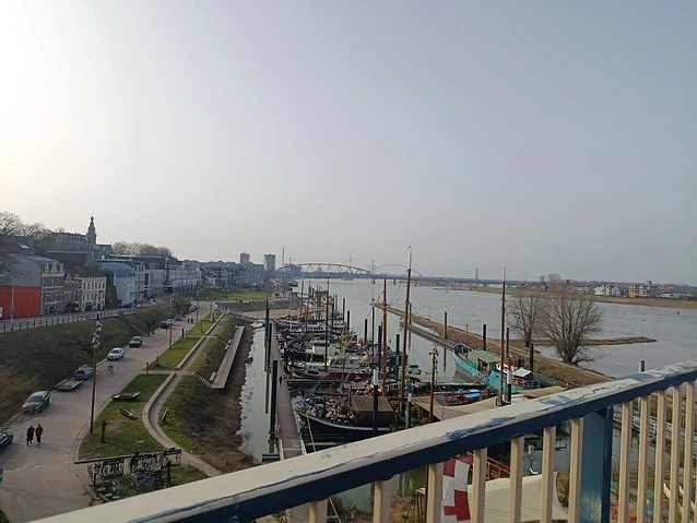 Vantage point looking over a harbor with moored boats and city buildings.