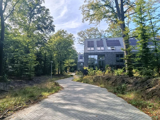 A herringbone-patterned brick path curves toward a solar-paneled building set in woodland.
