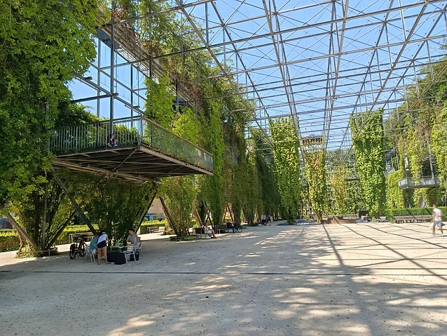 The author observes the urban park's ground level from an elevated perspective under sunlight.