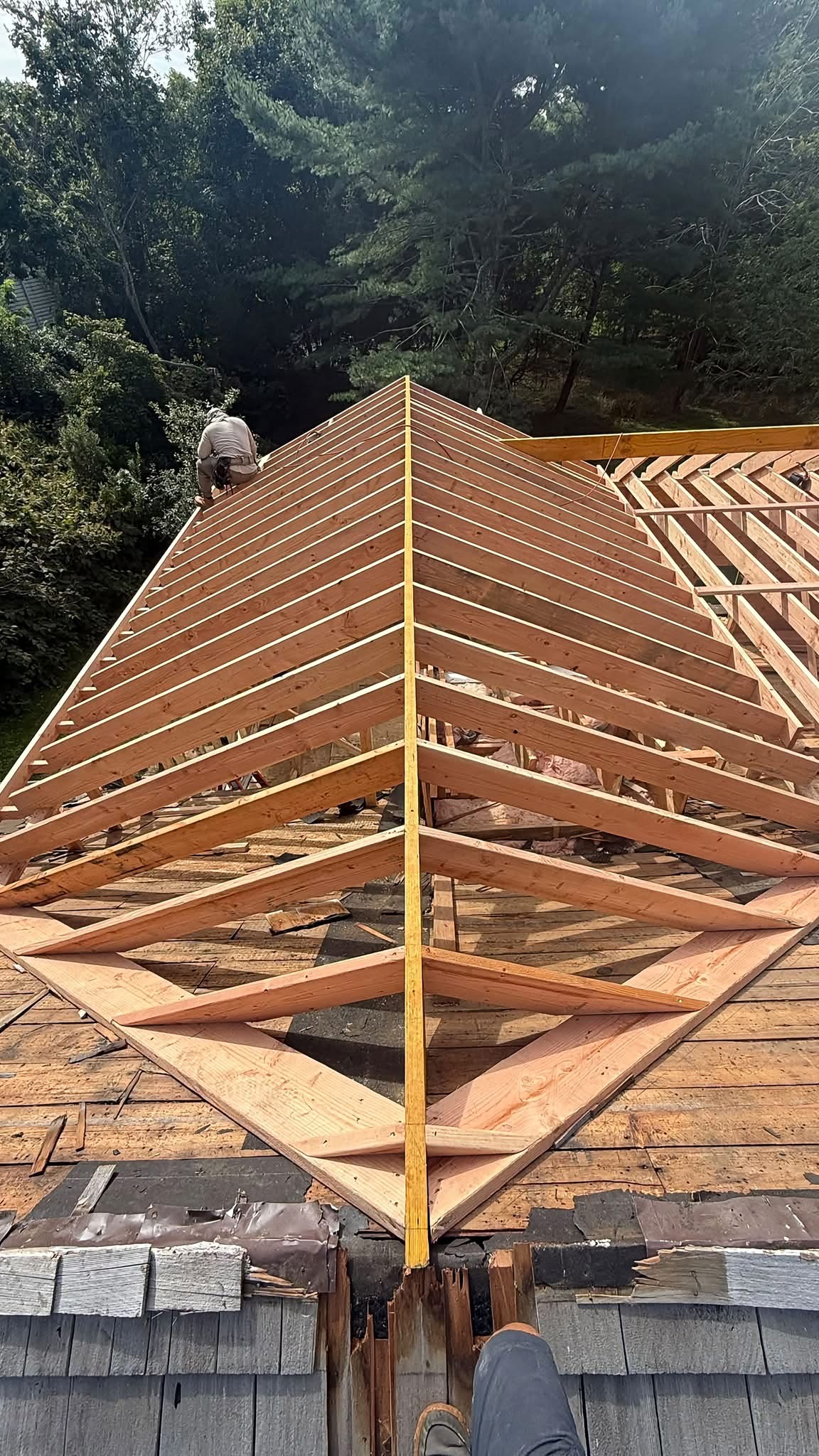 High-angle view of ADU roof rafters and ridge beam with trees beyond