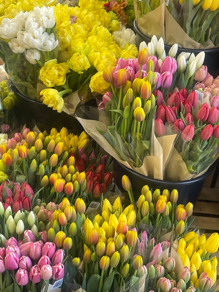 Tulips in Buckets