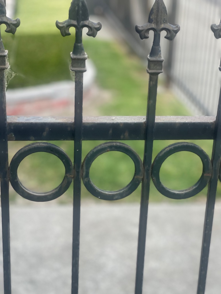 The Fence