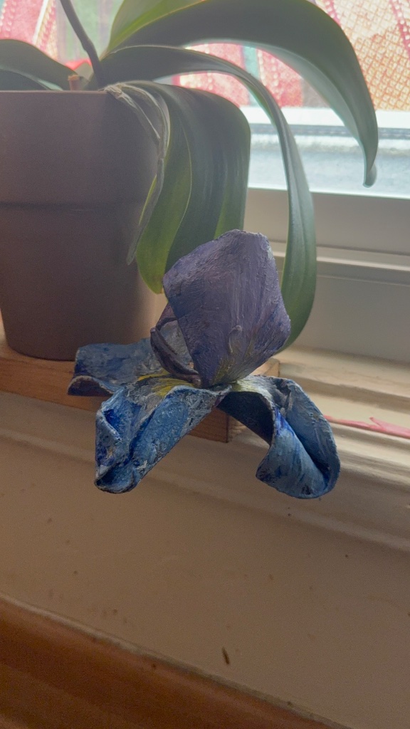 Blue Iris