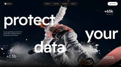 Securify Hero Section template preview