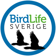 Publicera - BirdLife Sverige logo