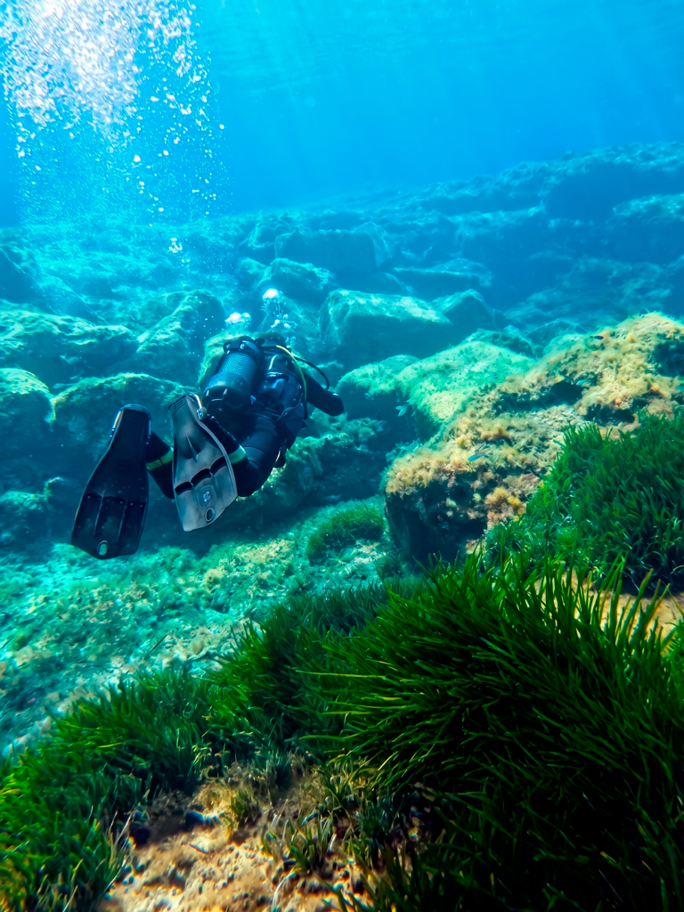 Contenidos - Centro de Buceo en Malta